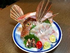 土佐料理 四万十 寺田屋 枚方店 写真 ぐるなび