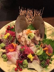 酒菜 おお木
