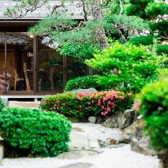 MAISON HIBINO