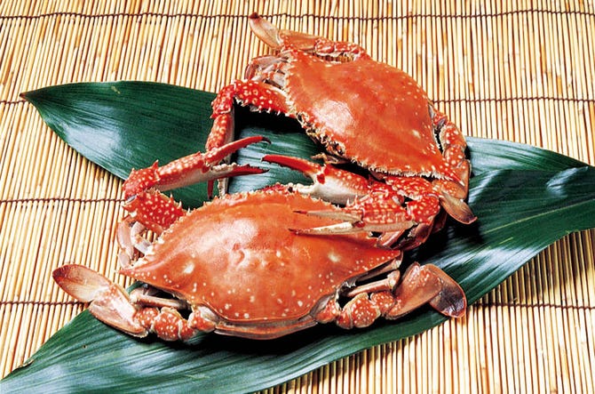 竹崎かに 茶寮 海旬 嬉野 鹿島 太良 かに料理 ぐるなび