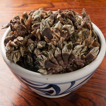 道後温泉周辺の食事 ディナーでおすすめしたい人気のお店 ぐるなび