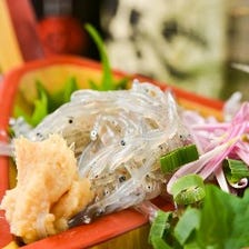 お魚と日本酒で居酒屋女子会が人気