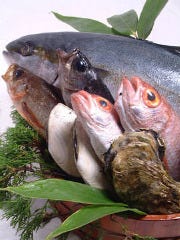 個室 庭園和食 金沢の味 福梅