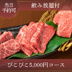 ぴこぴこ精肉店 瓦町_【飲み放題付・宮崎牛×希少部位】自慢のお肉をリーズナブルに堪能！「ぴこぴこ5,000円コース」当日予約OK