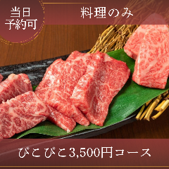 ぴこぴこ精肉店 瓦町_【宮崎牛×希少部位】タン塩・カルビ・ロースも◎リーズナブルに堪能「ぴこぴこ3,500円コース」当日予約OK