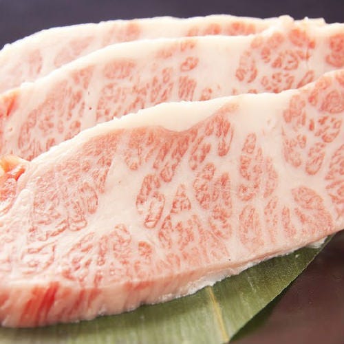 溝の口焼肉 にく野郎 溝の口 焼肉 ぐるなび
