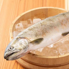 琵琶湖の固有種「琵琶マス」と近江牛が味わえるコースもご用意