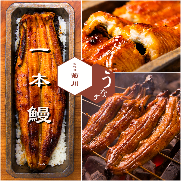 うなぎ四代目菊川 東京驛黑塀橫丁店