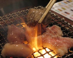 ホルモン屋だん はなれ 新橋 焼肉 ぐるなび