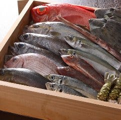 お魚Dining わんだ ～伊豆の海を喰べる～