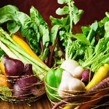 地元奈良で自然栽培された野菜は新鮮そのもの！
