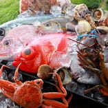 新鮮な魚介類は種類により、産地や漁場を厳選