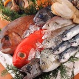 全国から届く新鮮な鮮魚【日本】