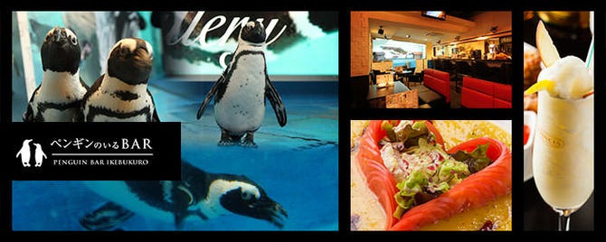 パーティーダイニング ペンギンのいるbar 池袋店 池袋 ダイニングバー ぐるなび パーティーダイニング ペンギンのいるbar 池袋店 池袋 ダイニングバー ぐるなび