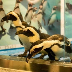パーティーダイニング ペンギンのいるBAR 池袋店
