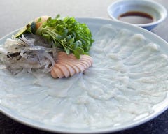 活とらふぐ料理専門店 ふぐ屋とら乃介