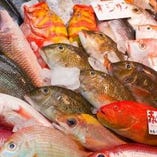 【北海魚介】
海産物の宝庫・北海道の新鮮な海の幸をお届け