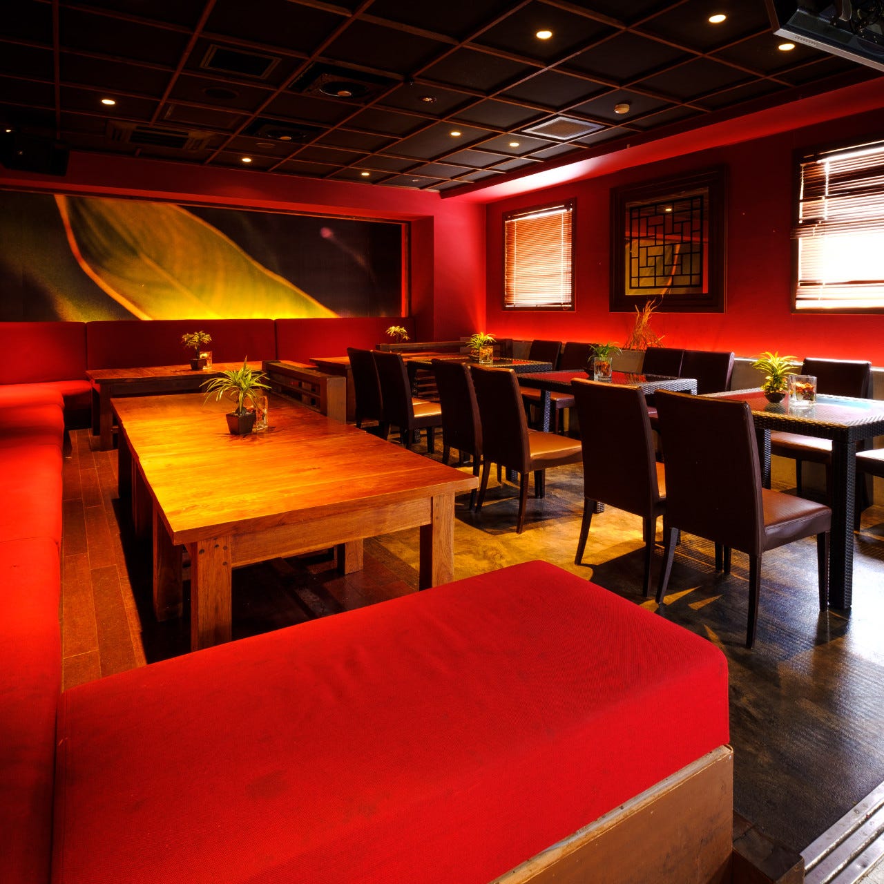 Bora Bora 神戸三宮店 貸切 ぐるなび