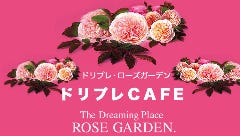 ドリプレCAFE