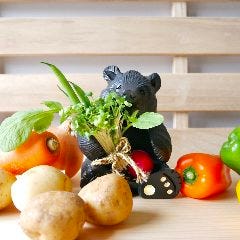 和ゴコロ