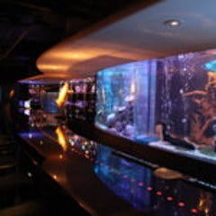 BAR WISTERIA