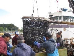 小山魚介センター 勝丸水産 小山 下野 居酒屋 ぐるなび