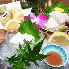 旬魚菜 磯一 山田店 写真 ぐるなび 旬魚菜 磯一 山田店 写真 ぐるなび
