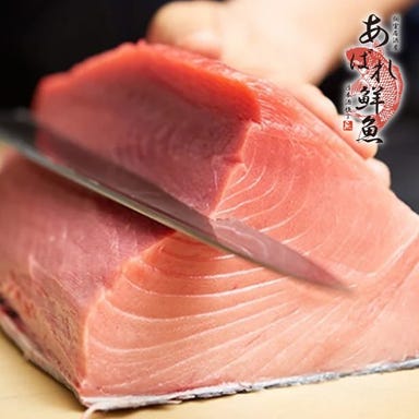 海鮮炉端焼きと旨い日本酒 完全個室居酒屋 あばれ鮮魚 新橋店_産地直送本まぐろの料理が10種以上!