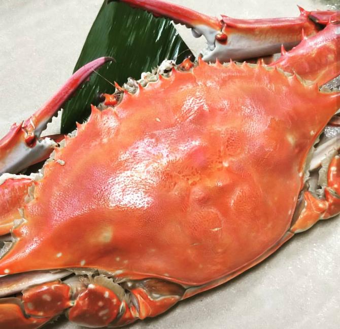 まるは本館 常滑 知多半島 海鮮 海鮮料理 ぐるなび