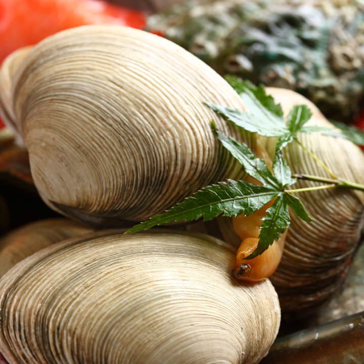 地酒旬の料理居酒屋おかだ梅田本店照片 西梅田 居酒屋 Gurunavi 日本美食餐厅指南