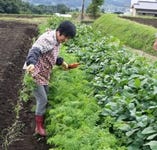 九州阿蘇の農家「今村」さん【熊本県九州阿蘇の農家】