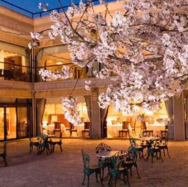Q E D Club キューイーディークラブ 中目黒 フレンチ フランス料理 ぐるなび