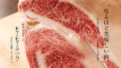 TeppanYaki KOBE Beef Steak EBISU84