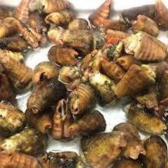 沖縄料理と海鮮居酒屋 平家亭 那覇松山_テラジャー紹興酒煮