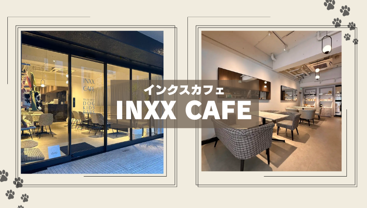 INXX CAFE