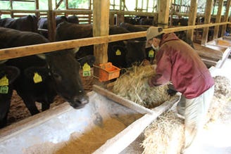 絶品 四条烏丸 烏丸御池で国産黒毛和牛などうまい焼肉店まとめ14選