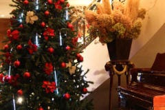 Xmas　プレミアムディナーのご案内