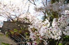 第65回大和郡山お城まつり