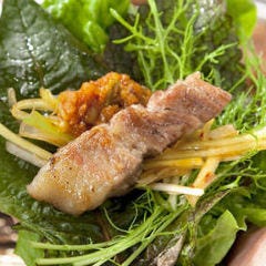 28種の野菜とサムギョプサル食べ放題 やさい村大地 赤坂田町通り