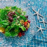 近江野菜のサラダバー