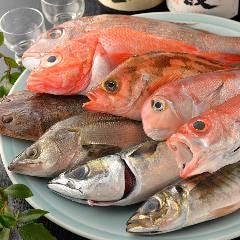 その日のいけす内の活魚