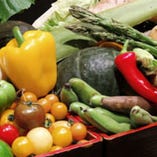 新鮮な野菜を豊富に取り入れた料理の数々。