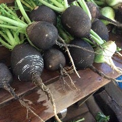 神楽坂 今彩 自慢の食材 黒丸大根 ぐるなび 神楽坂 今彩 自慢の食材 黒丸大根 ぐるなび