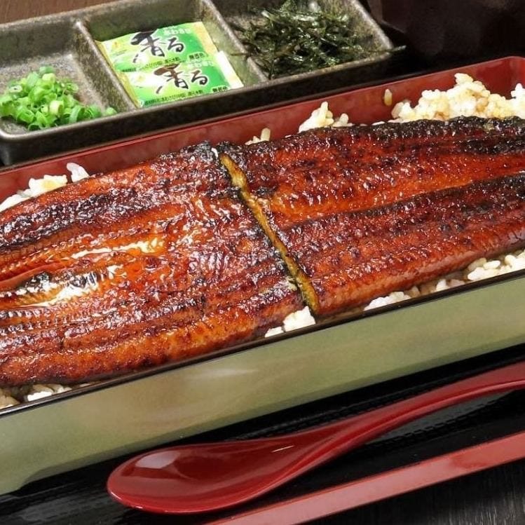 浜松で3,000円以内のうなぎ 見つかる！ネット予約で楽天ポイント貯まる