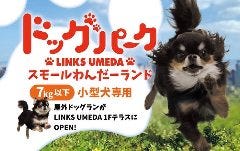 ドックカフェリンクス梅田