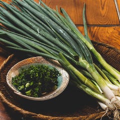 かごの屋 保土ヶ谷区役所前店 保土ヶ谷 星川 日本料理 ぐるなび かごの屋 保土ヶ谷区役所前店 保土ヶ谷 星川 日本料理 ぐるなび