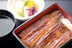 新宿うなぎ菊川