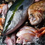 新鮮魚介はアクアパッツァやカルパッチョで。