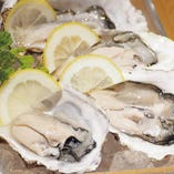 北海道から九州まで、各地の牡蛎を数種ご用意！【北海道】