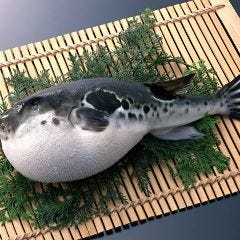 博多 つつじ庵_【2時間飲み放題付】 忘年会・新年会に／期間限定！ふぐ料理を贅沢に愉しむ『ふぐ三昧コース』10,000円